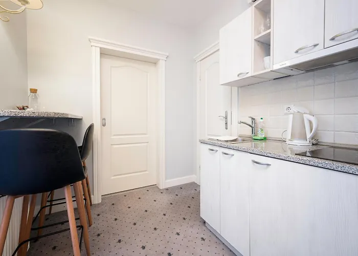 Art شقة فندقية دروسكينينكاي